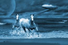 Mustangs on the Neptune